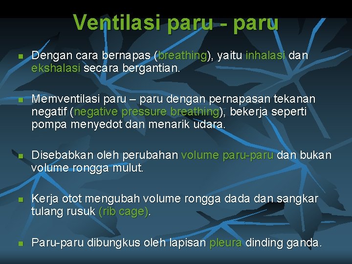 Ventilasi paru - paru n n n Dengan cara bernapas (breathing), yaitu inhalasi dan