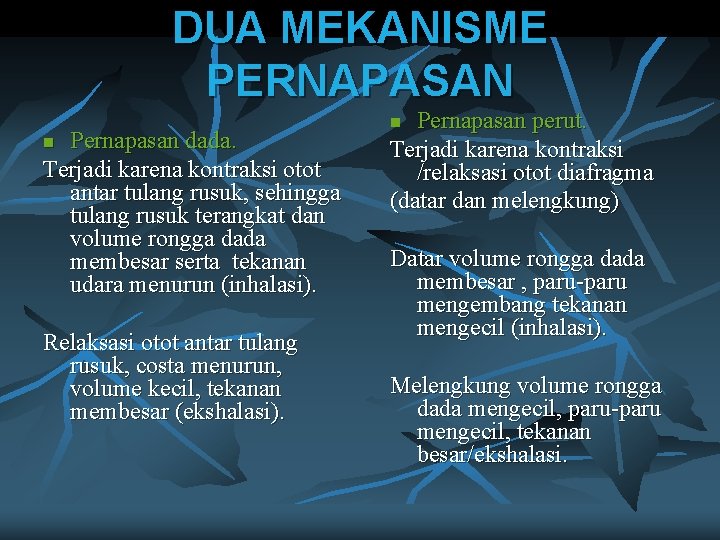 DUA MEKANISME PERNAPASAN Pernapasan dada. Terjadi karena kontraksi otot antar tulang rusuk, sehingga tulang