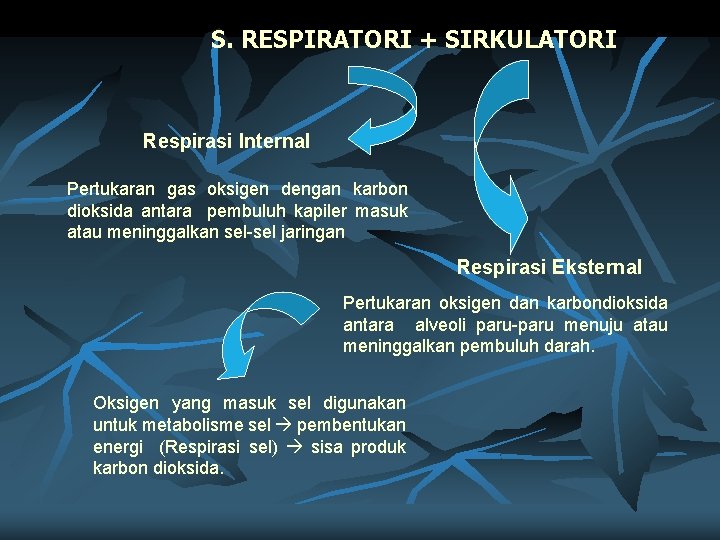 S. RESPIRATORI + SIRKULATORI Respirasi Internal Pertukaran gas oksigen dengan karbon dioksida antara pembuluh