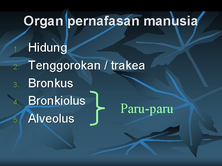 Organ pernafasan manusia 1. 2. 3. 4. 5. Hidung Tenggorokan / trakea Bronkus Bronkiolus