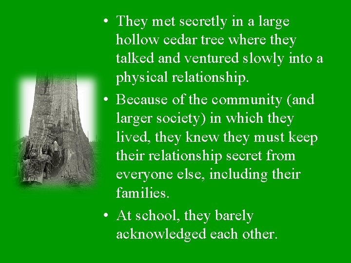  • They met secretly in a large hollow cedar tree where they talked