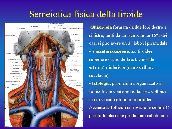 Semeiotica fisica della tiroide Ghiandola formata da due lobi destro e sinistro, uniti da