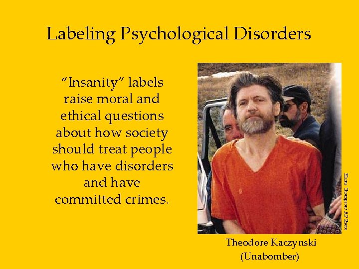 Labeling Psychological Disorders Elaine Thompson/ AP Photo “Insanity” labels raise moral and ethical questions