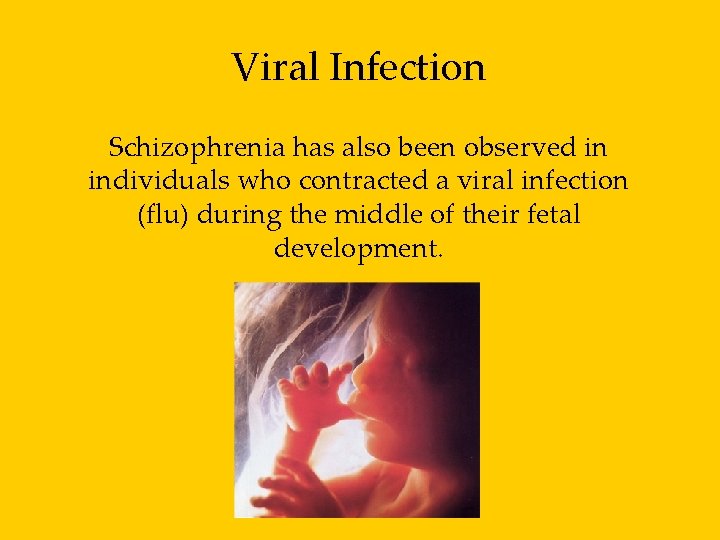 Viral Infection Schizophrenia has also been observed in individuals who contracted a viral infection