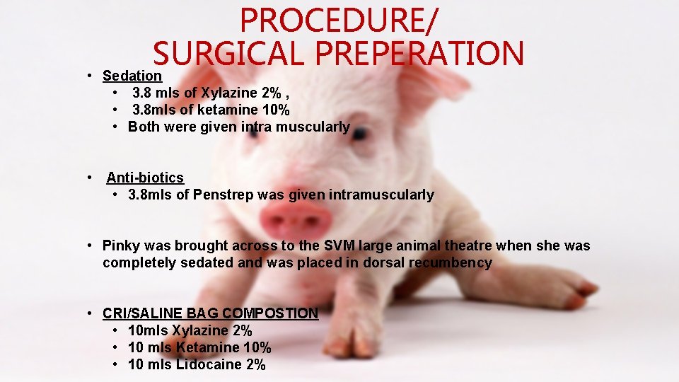  • PROCEDURE/ SURGICAL PREPERATION Sedation • 3. 8 mls of Xylazine 2% ,
