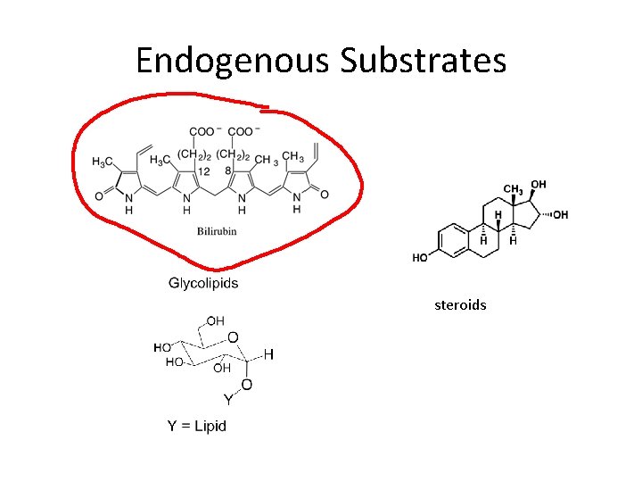 Endogenous Substrates steroids 