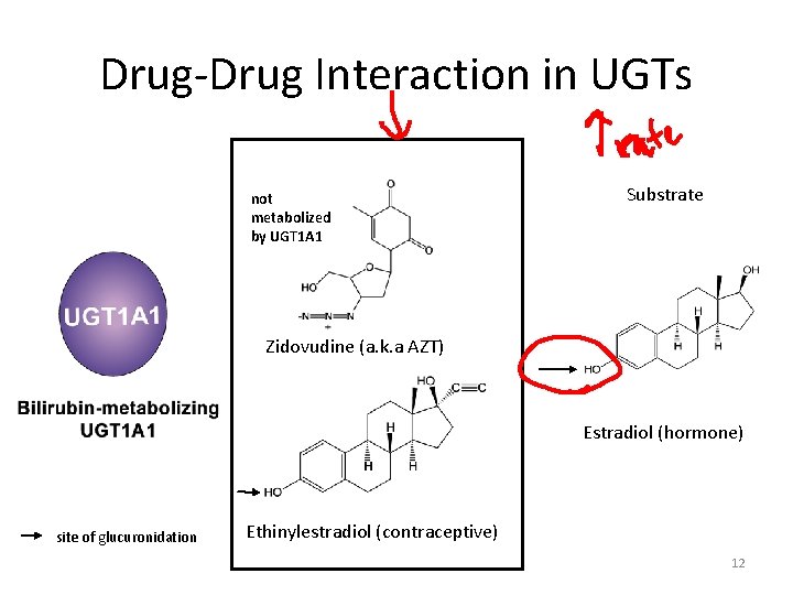 Drug-Drug Interaction in UGTs not metabolized by UGT 1 A 1 Substrate Zidovudine (a.