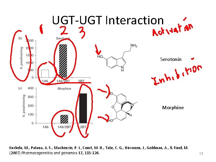 UGT-UGT Interaction Serotonin Morphine Kurkela, M. , Patana, A. S. , Mackenzie, P. I.