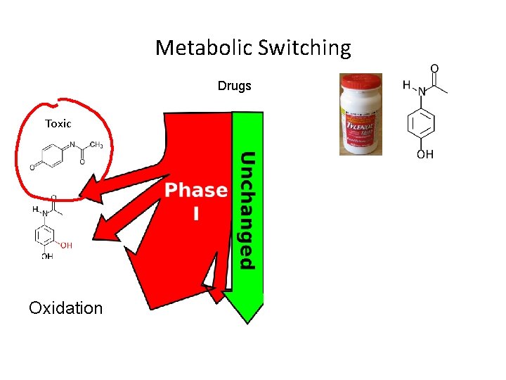 Metabolic Switching Drugs Toxic Oxidation Conjugation 