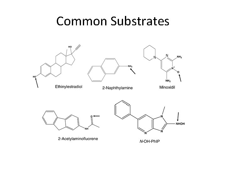 Common Substrates N N 