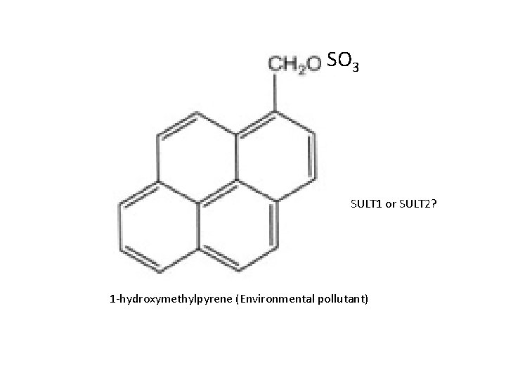 SO 3 SULT 1 or SULT 2? 1 -hydroxymethylpyrene (Environmental pollutant) 