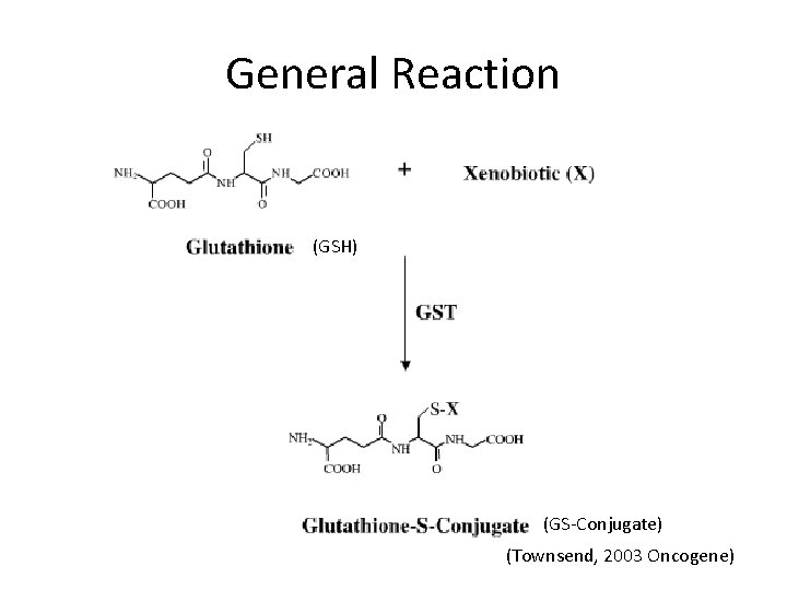 General Reaction (GSH) (GS-Conjugate) (Townsend, 2003 Oncogene) 