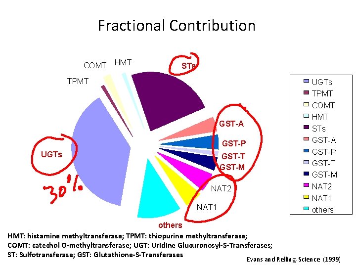 Fractional Contribution COMT HMT STs TPMT UGTs TPMT COMT HMT STs GST-A GST-P UGTs