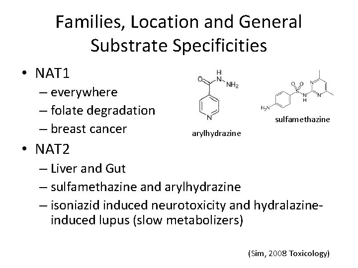 Families, Location and General Substrate Specificities • NAT 1 – everywhere – folate degradation