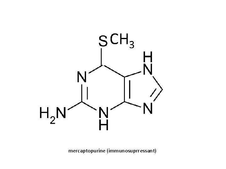 CH 3 mercaptopurine (immunosuprressant) 