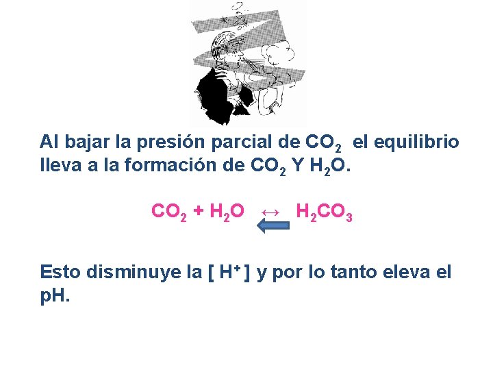 Al bajar la presión parcial de CO 2 el equilibrio lleva a la formación