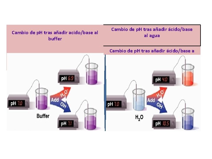 Cambio de p. H tras añadir acido/base al buffer Cambio de p. H tras