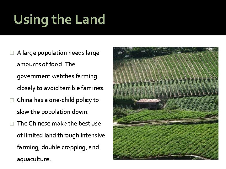 Using the Land � A large population needs large amounts of food. The government