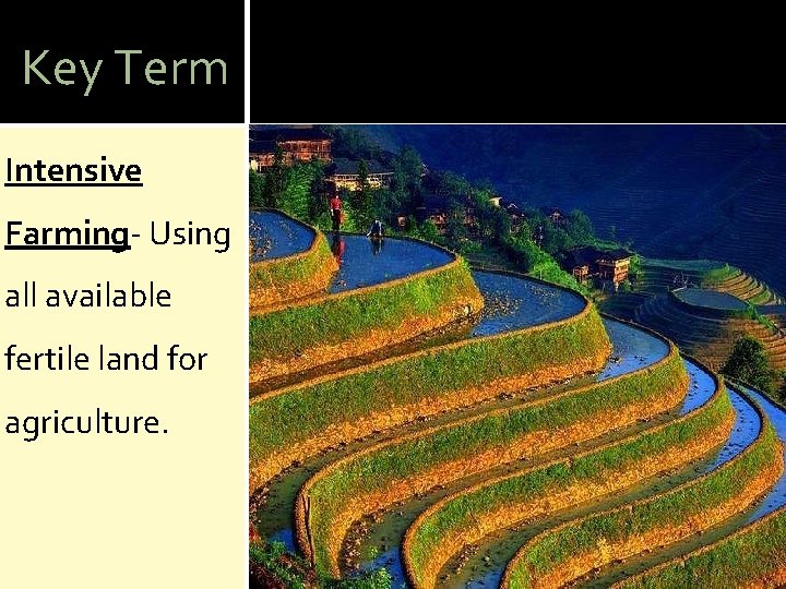 Key Term Intensive Farming- Using all available fertile land for agriculture. 