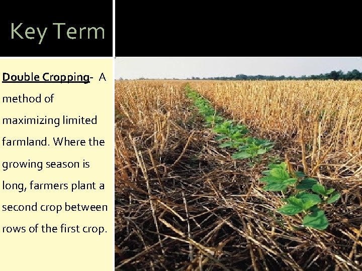 Key Term Double Cropping- A method of maximizing limited farmland. Where the growing season