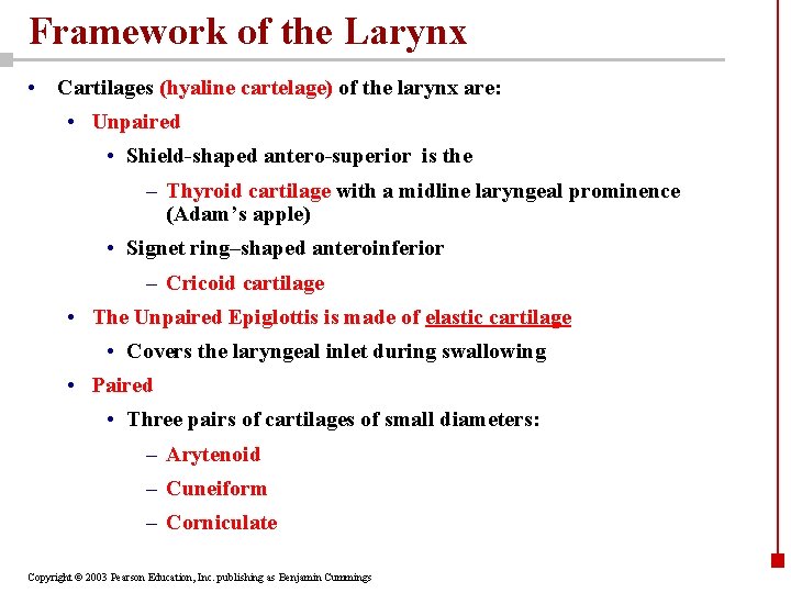 Framework of the Larynx • Cartilages (hyaline cartelage) of the larynx are: • Unpaired