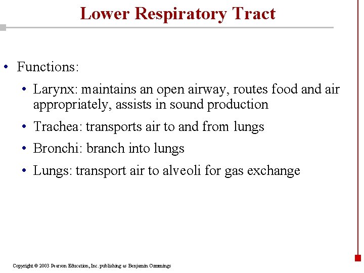 Lower Respiratory Tract • Functions: • Larynx: maintains an open airway, routes food and