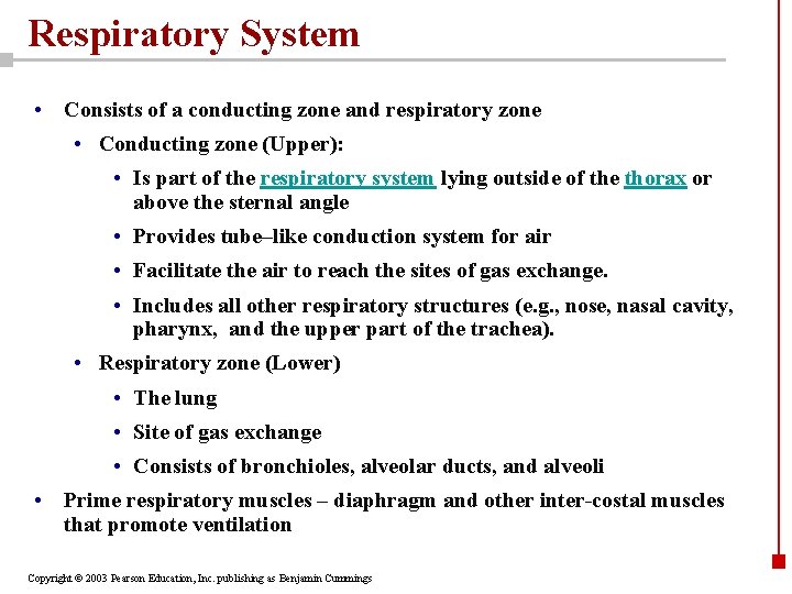 Respiratory System • Consists of a conducting zone and respiratory zone • Conducting zone