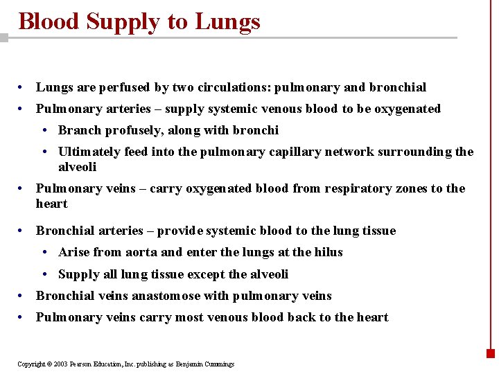 Blood Supply to Lungs • Lungs are perfused by two circulations: pulmonary and bronchial