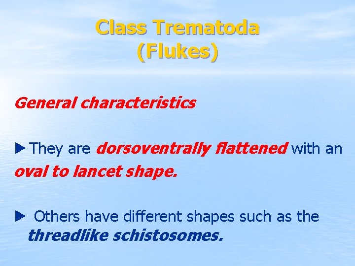 Class Trematoda (Flukes) General characteristics ►They are dorsoventrally flattened with an oval to lancet