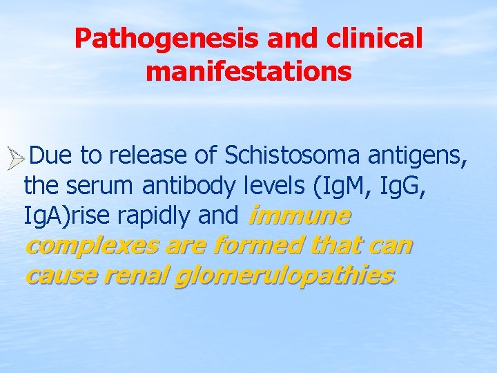 Pathogenesis and clinical manifestations Due to release of Schistosoma antigens, the serum antibody levels