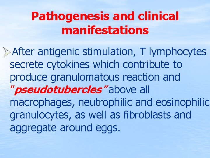 Pathogenesis and clinical manifestations After antigenic stimulation, T lymphocytes secrete cytokines which contribute to
