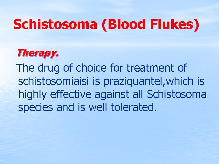 Schistosoma (Blood Flukes) Therapy. The drug of choice for treatment of schistosomiaisi is praziquantel,