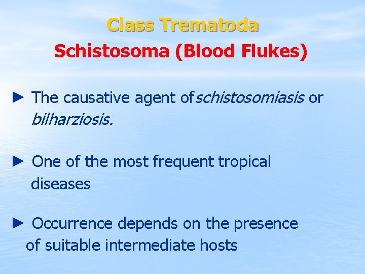 Class Trematoda Schistosoma (Blood Flukes) ► The causative agent ofschistosomiasis or bilharziosis. ► One