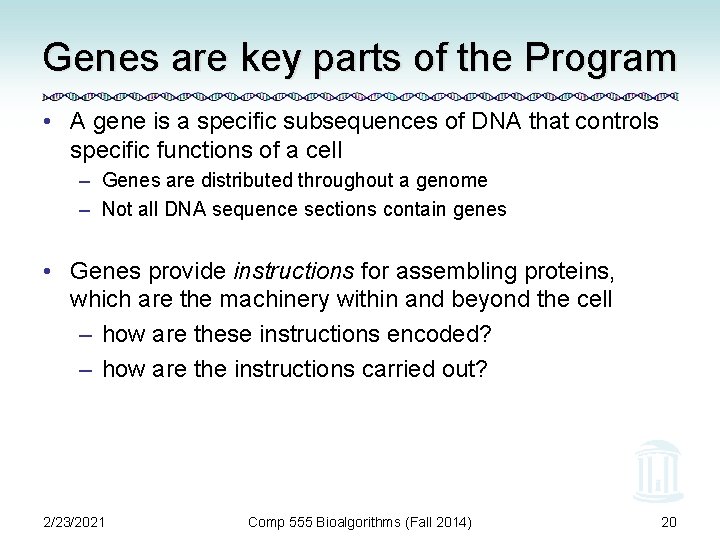 Genes are key parts of the Program • A gene is a specific subsequences