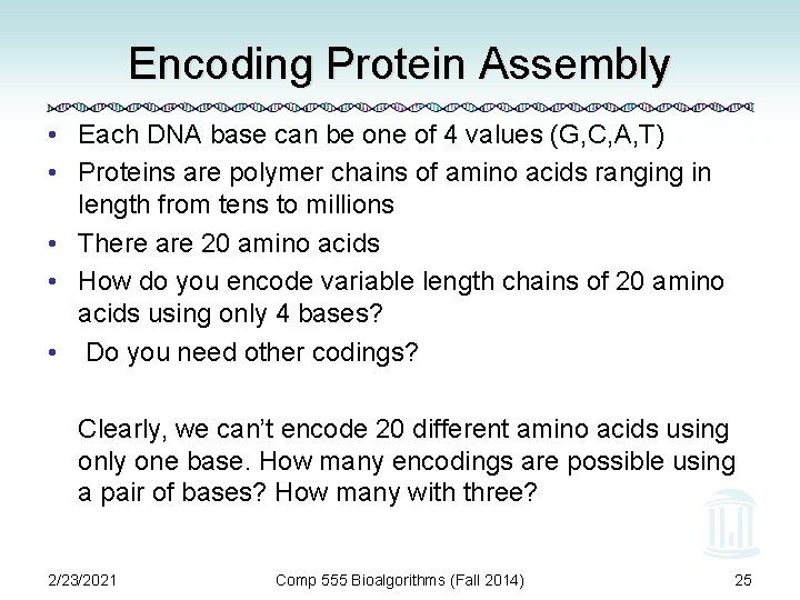 Encoding Protein Assembly • Each DNA base can be one of 4 values (G,