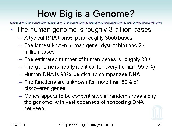 How Big is a Genome? • The human genome is roughly 3 billion bases