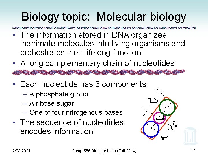 Biology topic: Molecular biology • The information stored in DNA organizes inanimate molecules into