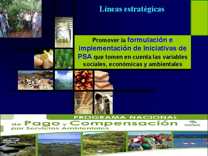 Líneas estratégicas Promover la formulación e implementación de Iniciativas de PSA que tomen en