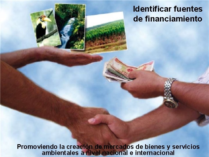 Identificar fuentes de financiamiento Promoviendo la creación de mercados de bienes y servicios ambientales