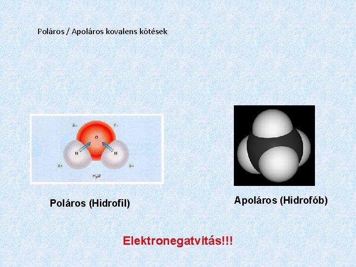 Poláros / Apoláros kovalens kötések Poláros (Hidrofil) Elektronegatvitás!!! Apoláros (Hidrofób) 