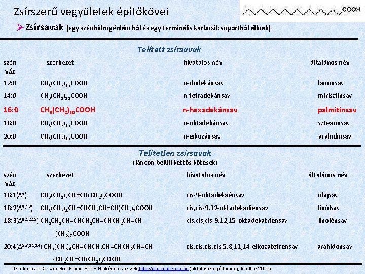 Zsírszerű vegyületek építőkövei Zsírsavak (egy szénhidrogénláncból és egy terminális karboxilcsoportból állnak) Telített zsírsavak szén