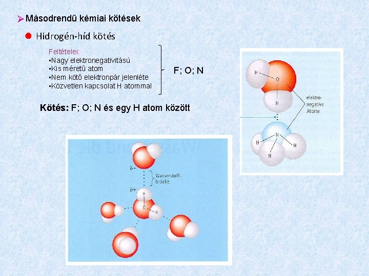  Másodrendű kémiai kötések ● Hidrogén-híd kötés Feltételei: • Nagy elektronegativitású • Kis méretű