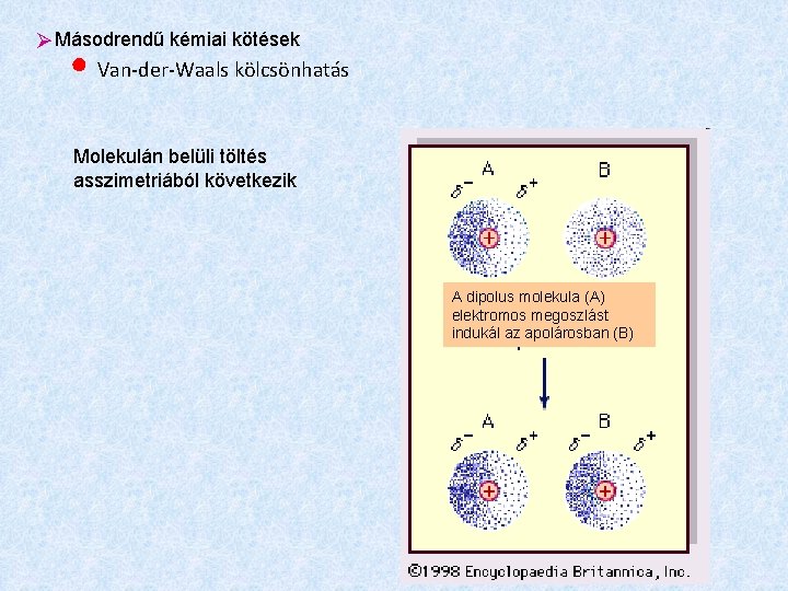  Másodrendű kémiai kötések ● Van-der-Waals kölcsönhatás Molekulán belüli töltés asszimetriából következik A dipolus