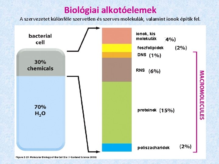 Biológiai alkotóelemek A szervezetet különféle szervetlen és szerves molekulák, valamint ionok építik fel. ionok,