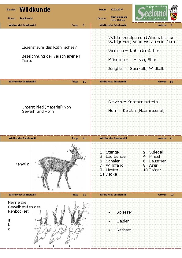 Bereich Wildkunde Thema Schalenwild Wildkunde/ Schalenwild Datum 10. 02. 2015 Alain Batzli und Peter