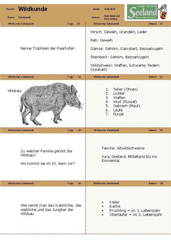 Bereich Wildkunde Thema Schalenwild Wildkunde/ Schalenwild Datum 10. 02. 2015 Alain Batzli und Peter