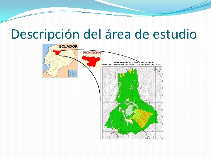 Descripción del área de estudio 
