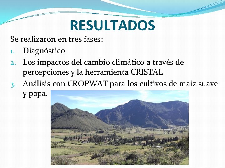 RESULTADOS Se realizaron en tres fases: 1. Diagnóstico 2. Los impactos del cambio climático