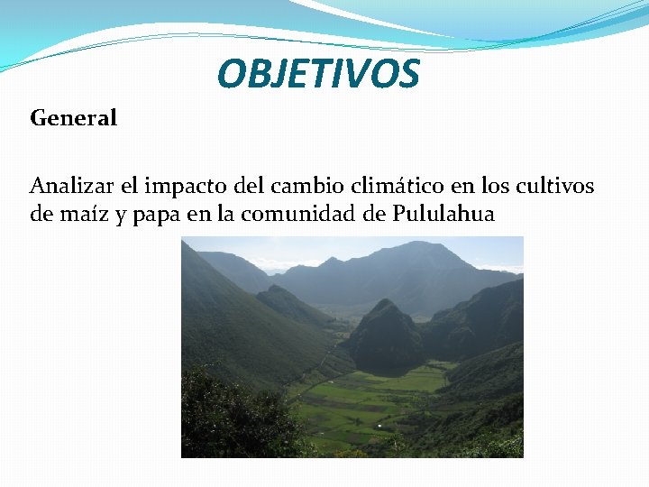 OBJETIVOS General Analizar el impacto del cambio climático en los cultivos de maíz y