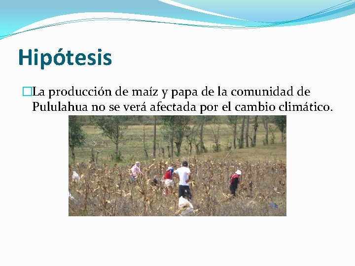 Hipótesis �La producción de maíz y papa de la comunidad de Pululahua no se